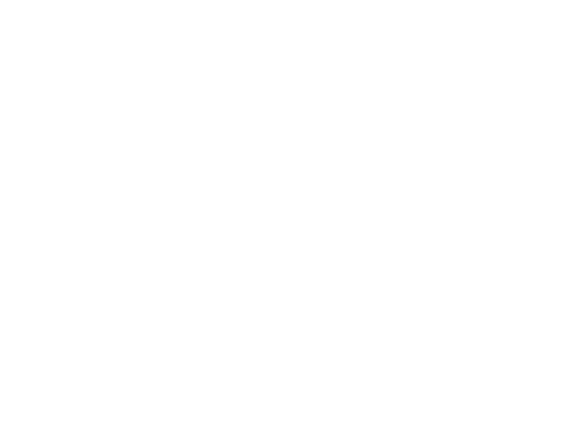 PitDetail
